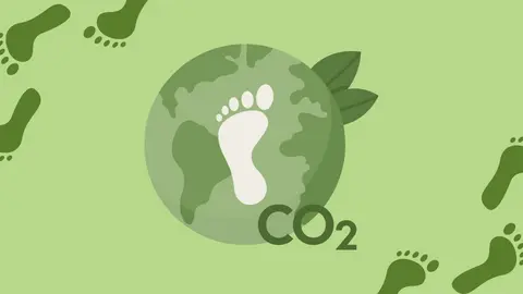 Reducing your carbon footprint blog post